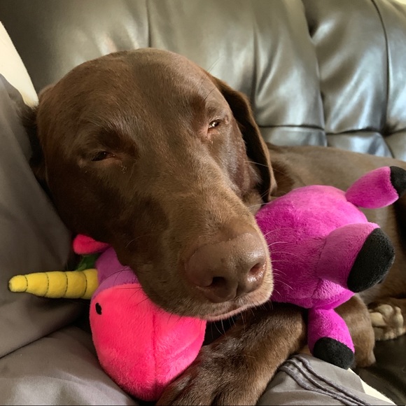 Meet your Posher, Brix, Tec & Trip - Picture 8 of 9